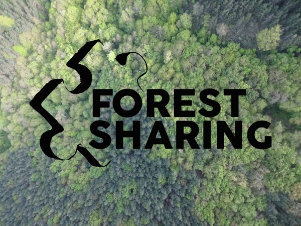 Forest sharing – La piattaforma innovativa che si prende cura del tuo bosco