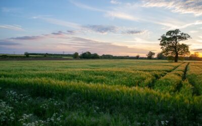 Pronta la Strategia Nazionale per la Biodiversità 2030