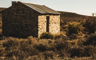 La Politica agricola comune per contrastare l’abbandono dei terreni in Europa