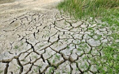 Desertificazione: in Italia il 20% della superficie è a rischio