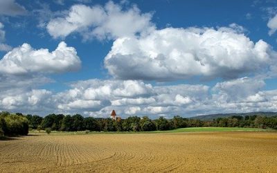 PNRR e Agricoltura: bando gestito dall’Inail per agricoltura 4.0