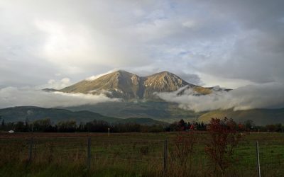 Al via l’edizione 2022 del Progetto Appennino